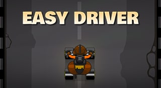 Driverio