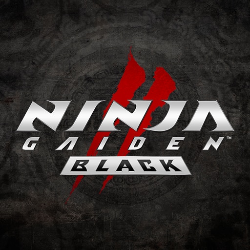 NINJA GAIDEN 2 Black