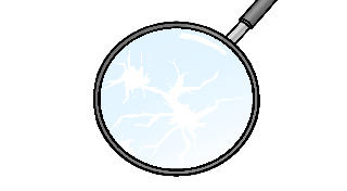 Night Detective: Decrepit Manor